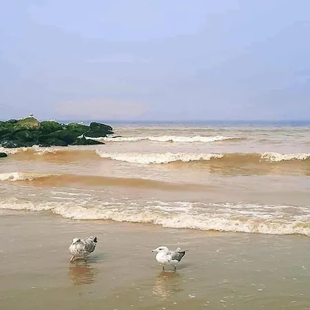 With Sea Views, Cleaning Included